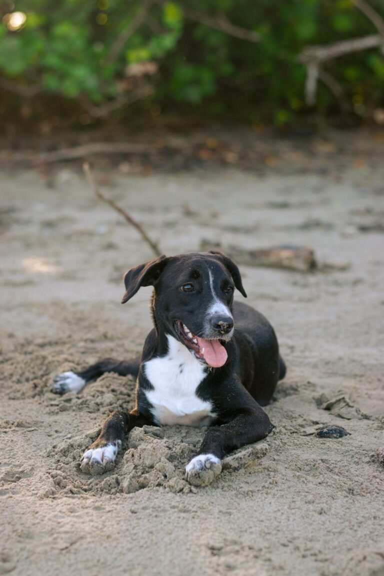 427351e6-323e-4225-b762-a3d65e32fa7a