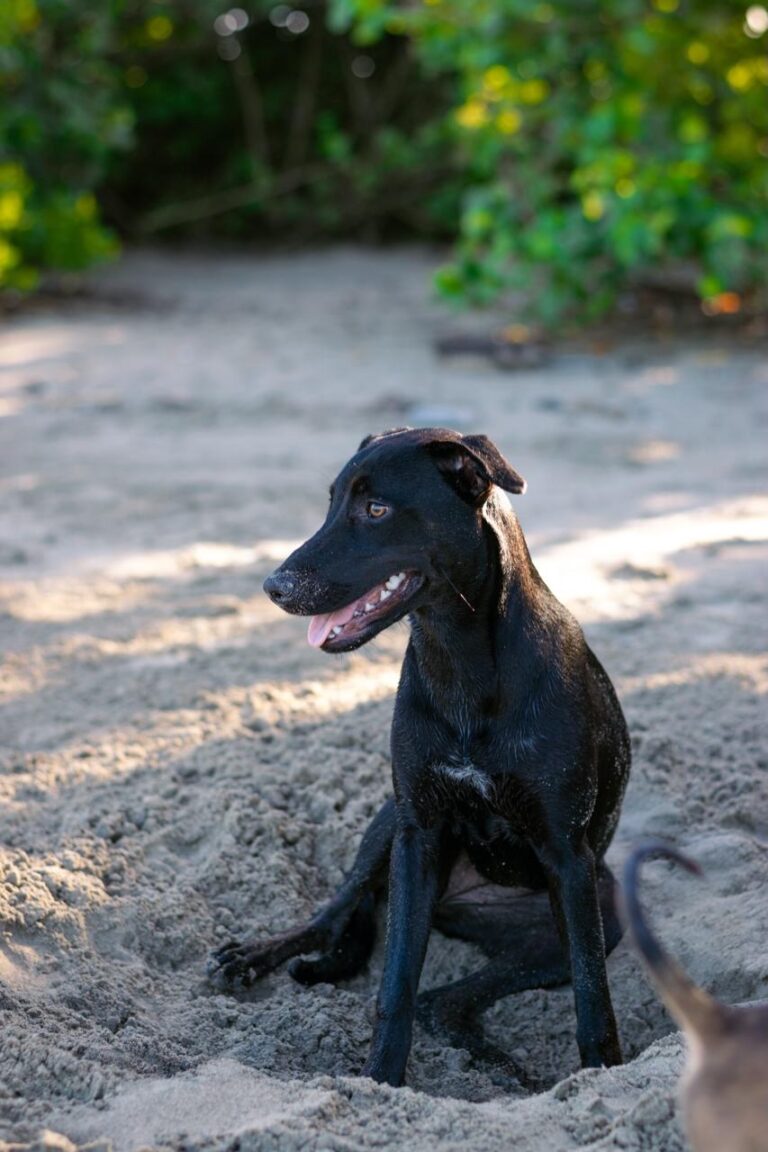 594ddfdb-8bf0-4c77-a6c6-23ce1f0792cb