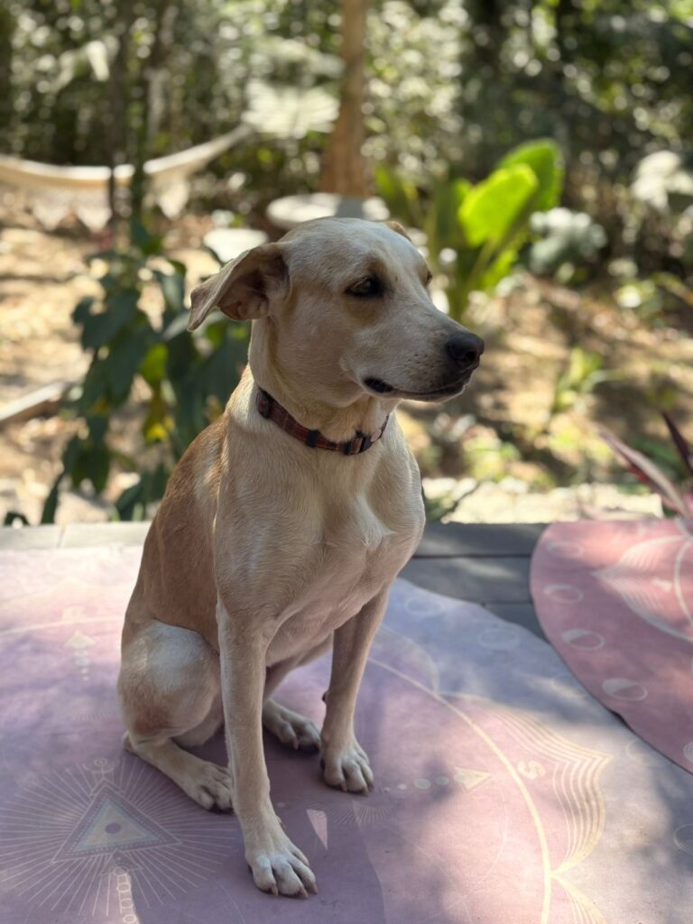 WhatsApp Image 2026-04-14 at 11.24