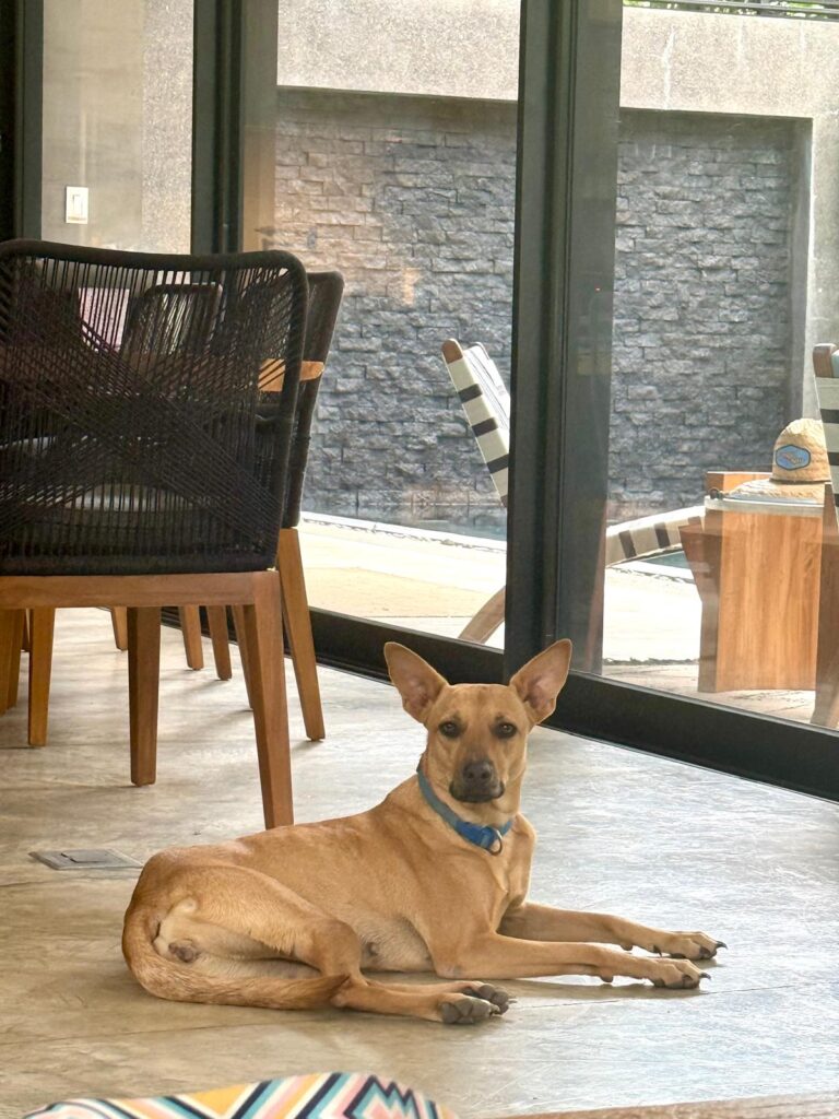 WhatsApp Image 2026-04-14 at 2.30