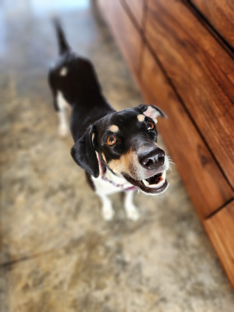 WhatsApp Image 2026-04-15 at 11.21